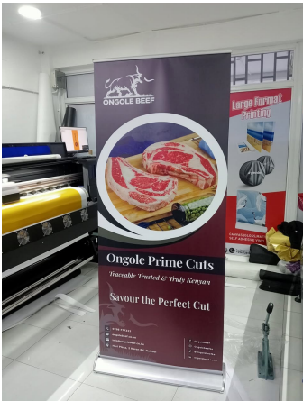 Roll-up banner