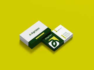 Agrizen Foods primary brand identity