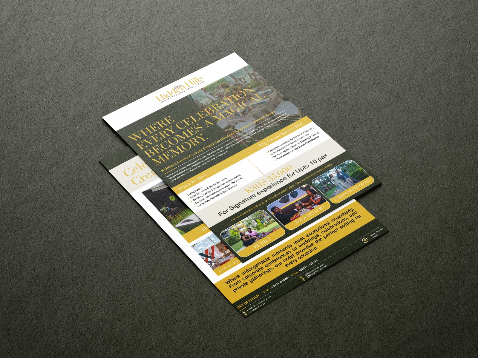 Brochure and publication design